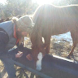 Meet your Posher, Joshua